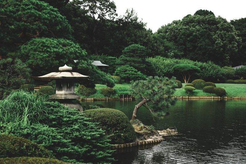 春の庭づくりで見直したい植栽のポイント