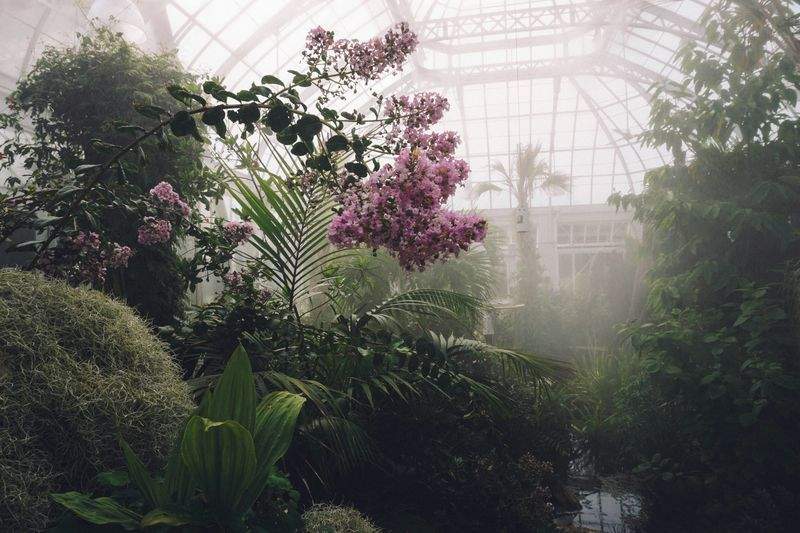 植栽工事